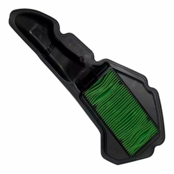 FILTRO AR PCX 19 E/D CWFT045